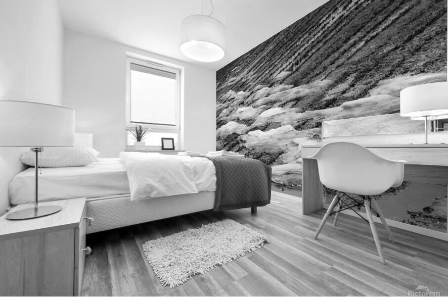 Snowmelt Mural print