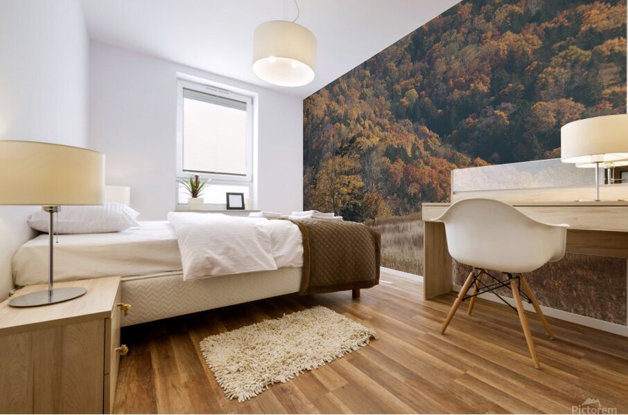 HIghland Wilderness Mural print