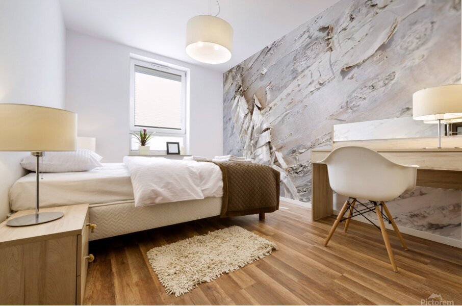 Birch Bark II Mural print