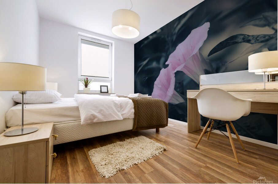 Morning glory Mural print