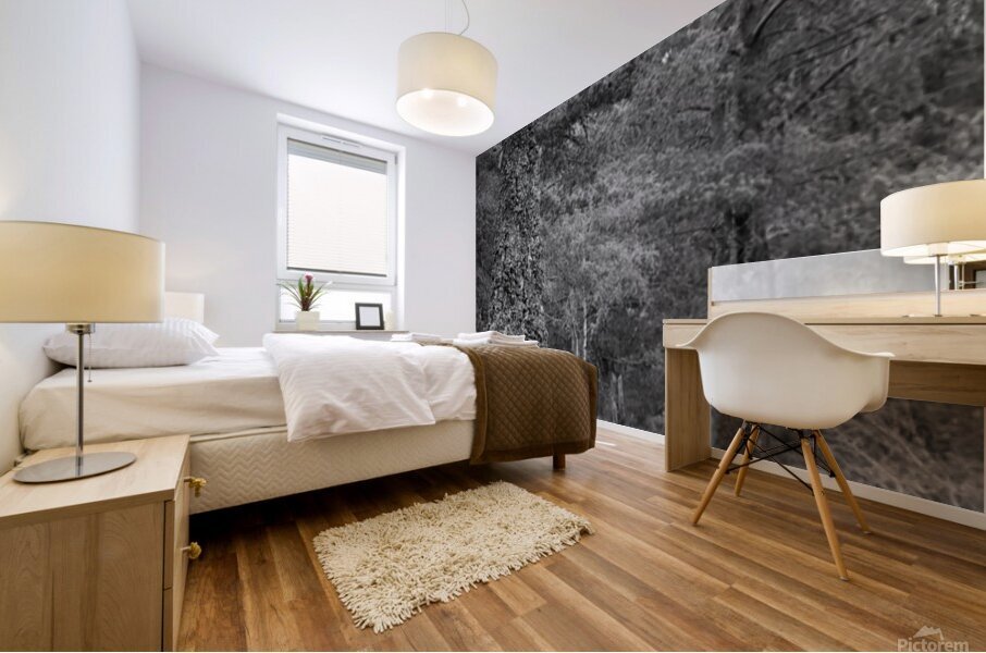 Forest Trail Mural print