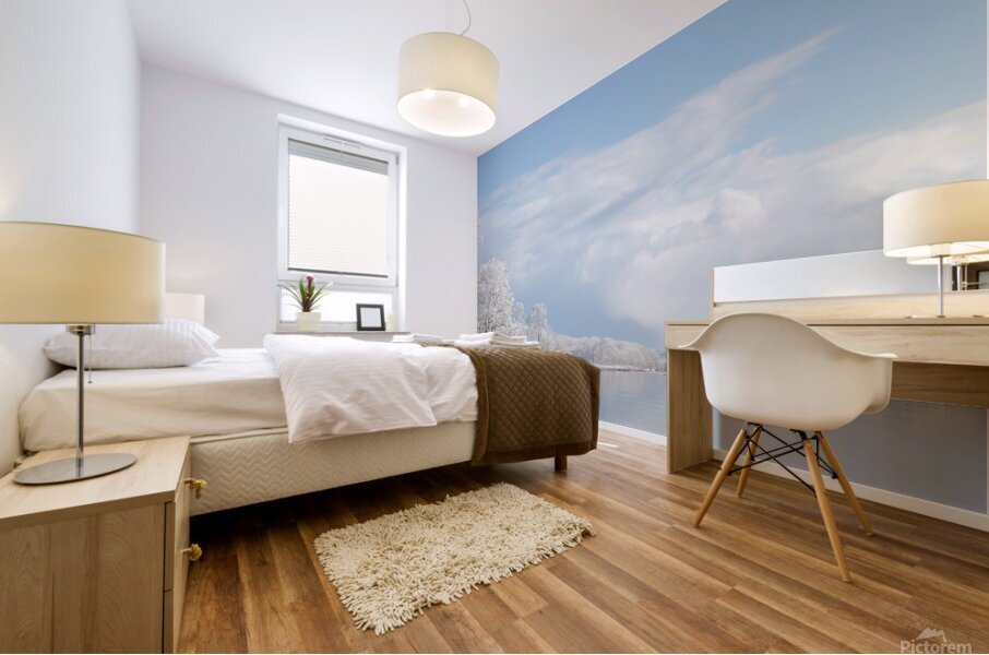 Winter Mural print