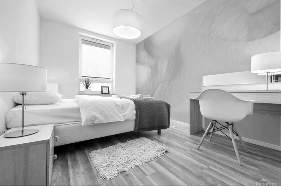 Snow Waves II Mural print