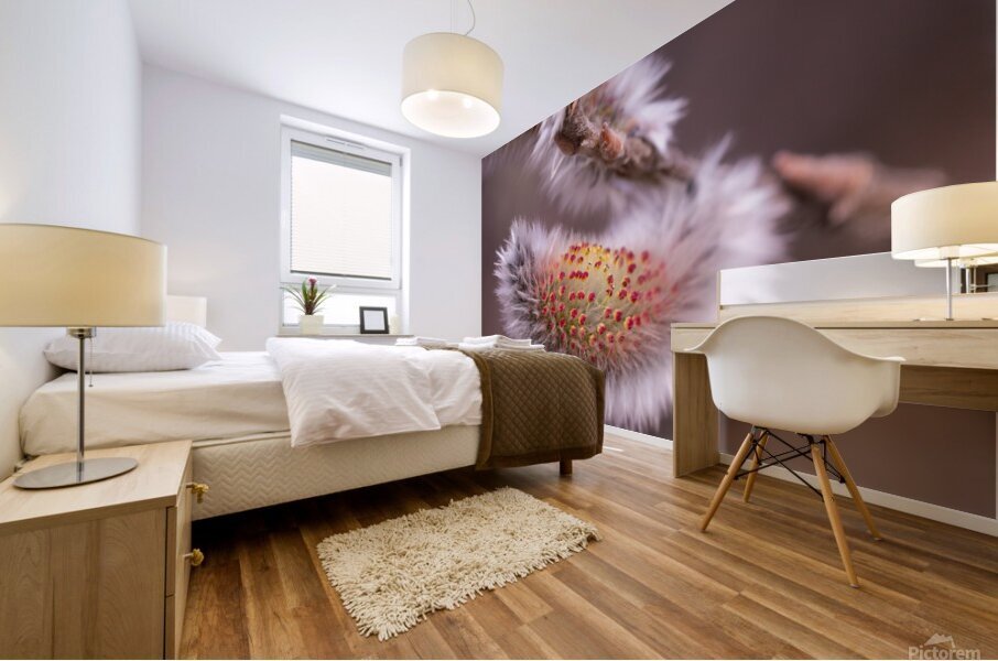 Catkin Mural print