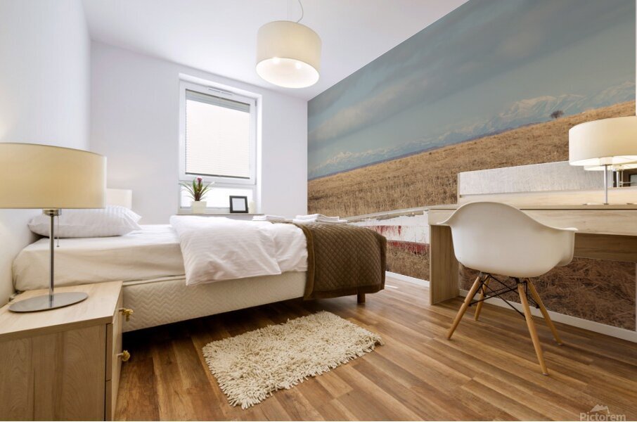 The Old Boat Mural print