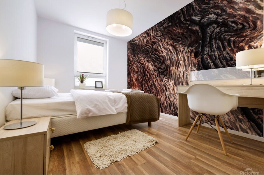 Old Age Mural print