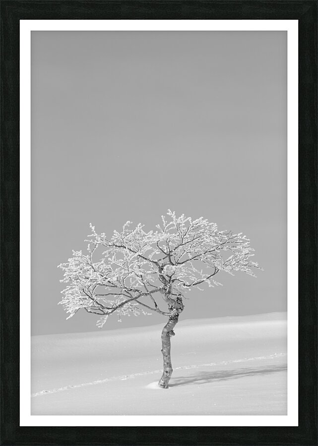 Lonesome Trail Picture Frame print