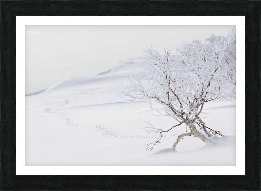 The Journey Picture Frame print