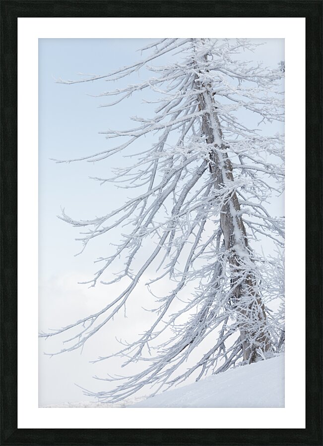 Last Christmas Picture Frame print