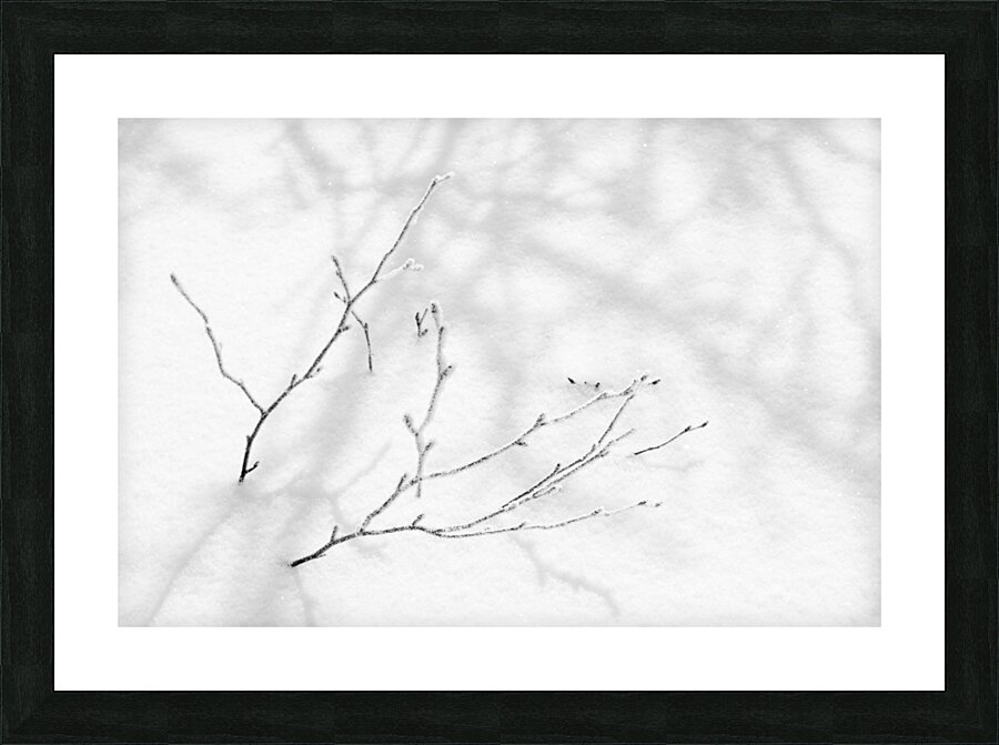 Fragility Picture Frame print