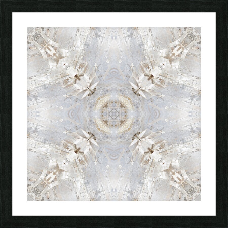 Silver Birch Bark Picture Frame print