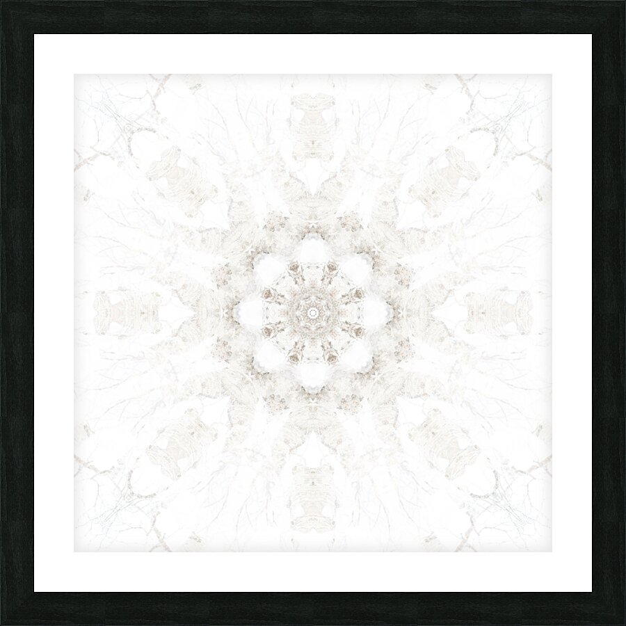 Snowflower Picture Frame print