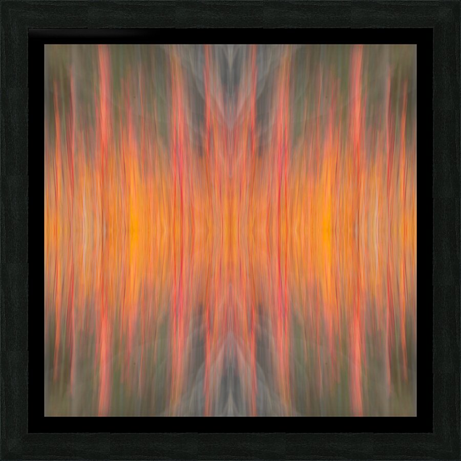 Fiery Autumn Picture Frame print