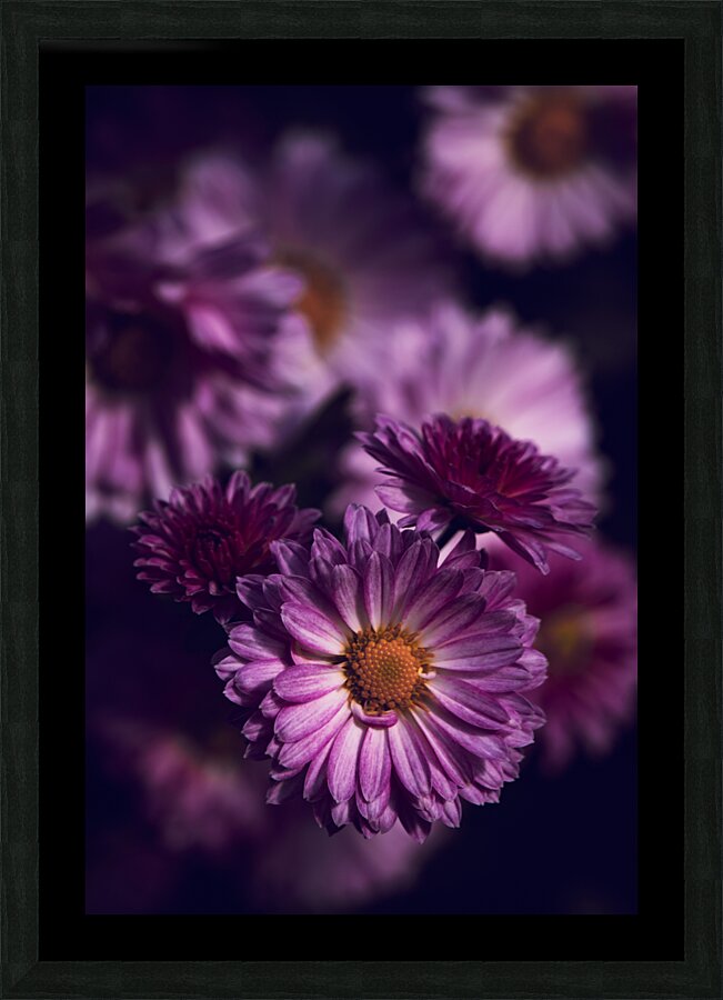 Dark Pink Picture Frame print