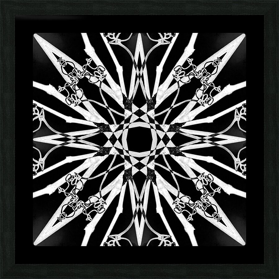Winter Star Picture Frame print