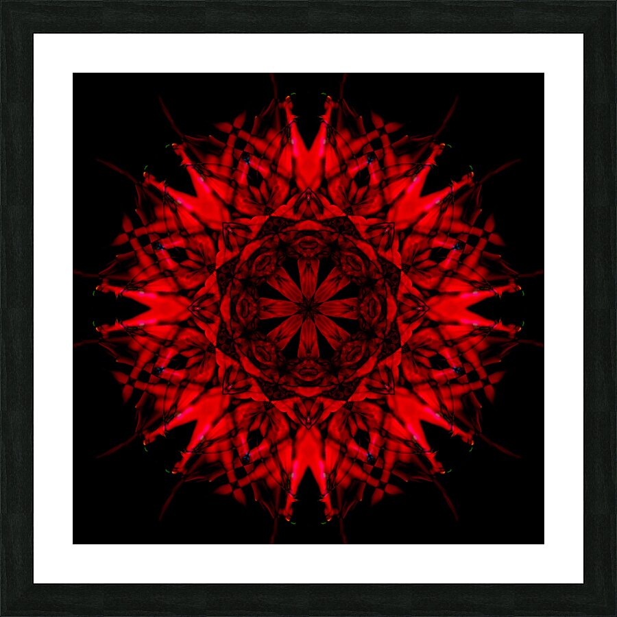 Red Bergamot Picture Frame print