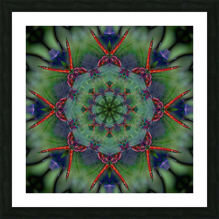 Dragonfly Picture Frame print