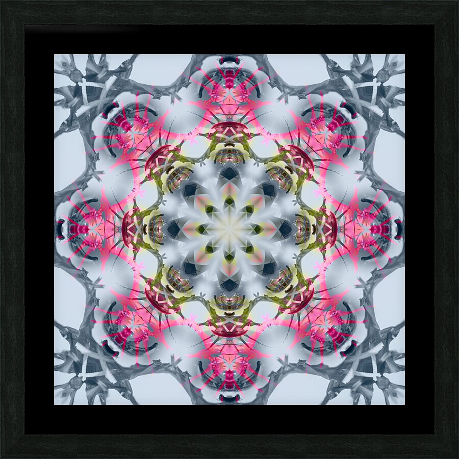 Thistleflower Picture Frame print