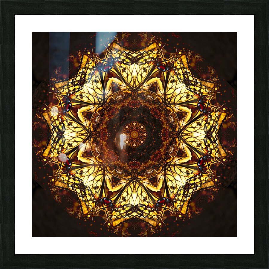 Swallowtail Picture Frame print