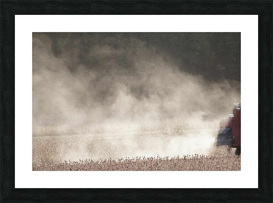 Bean Field Picture Frame print