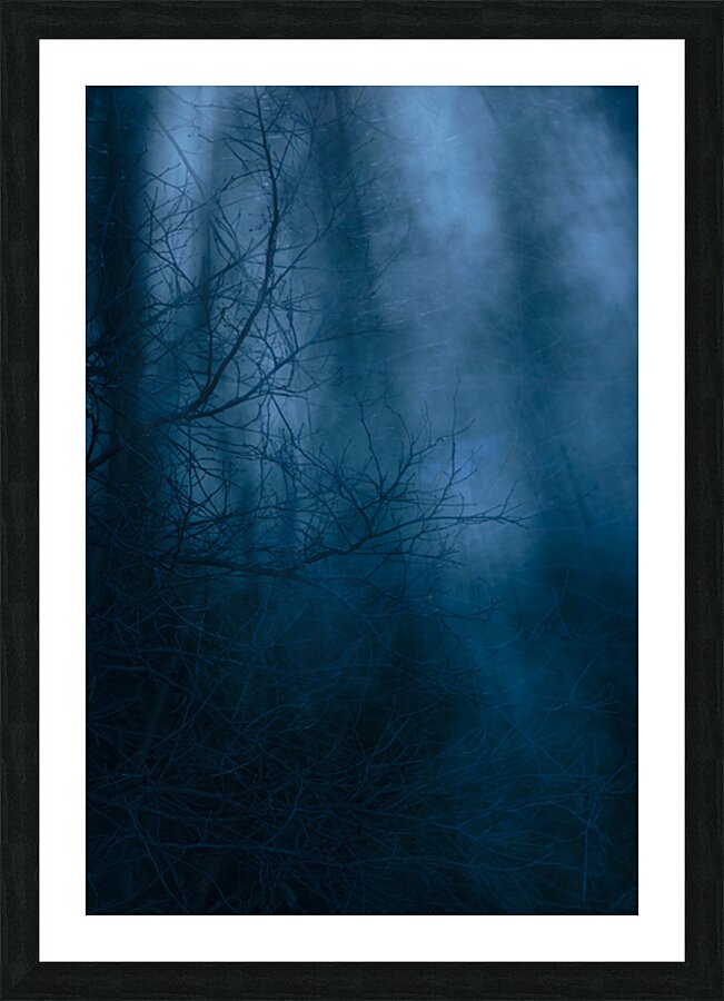Lost Picture Frame print