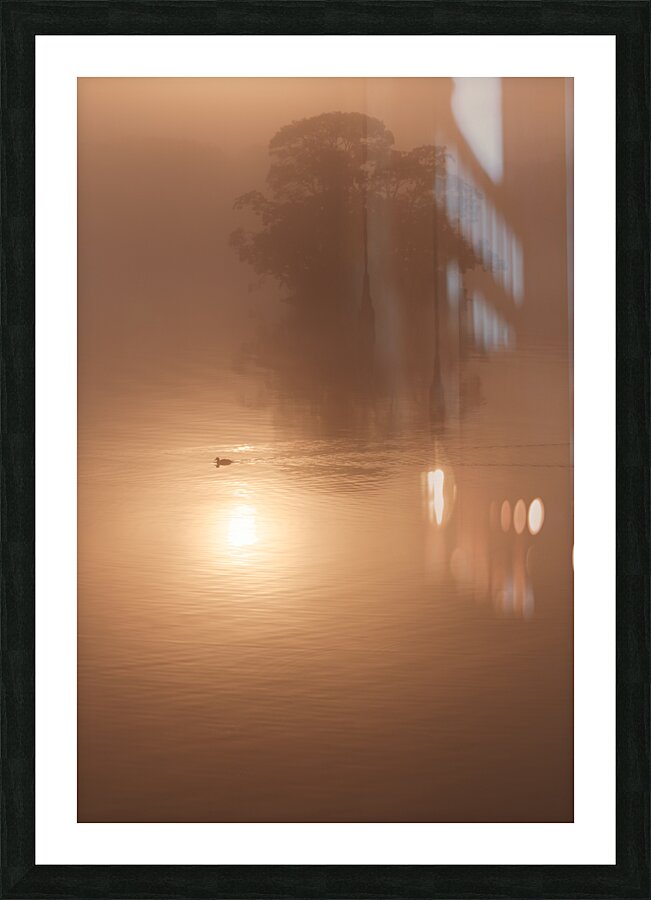 Alone Picture Frame print