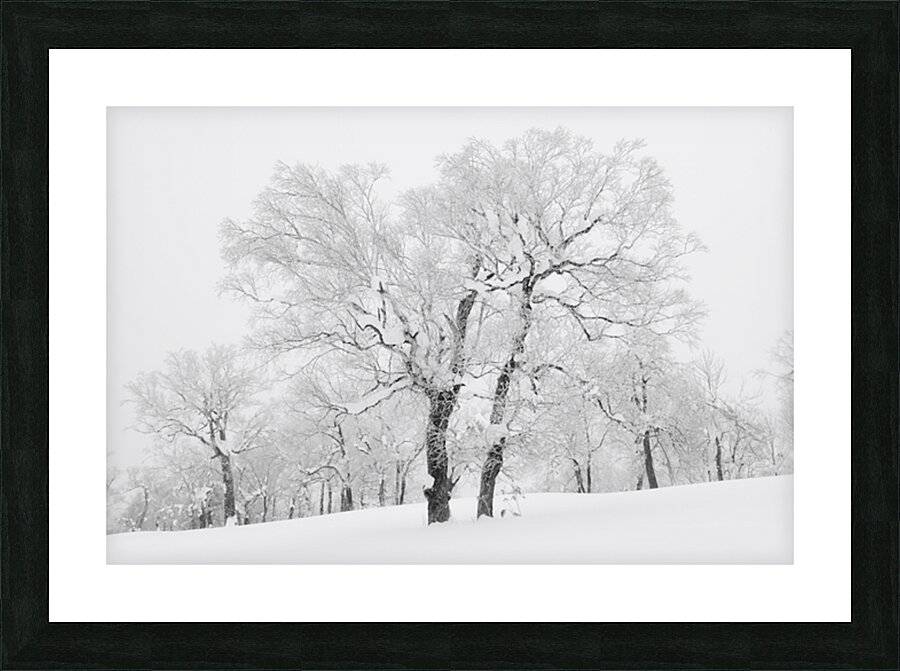 Midwinter Nayoro Picture Frame print
