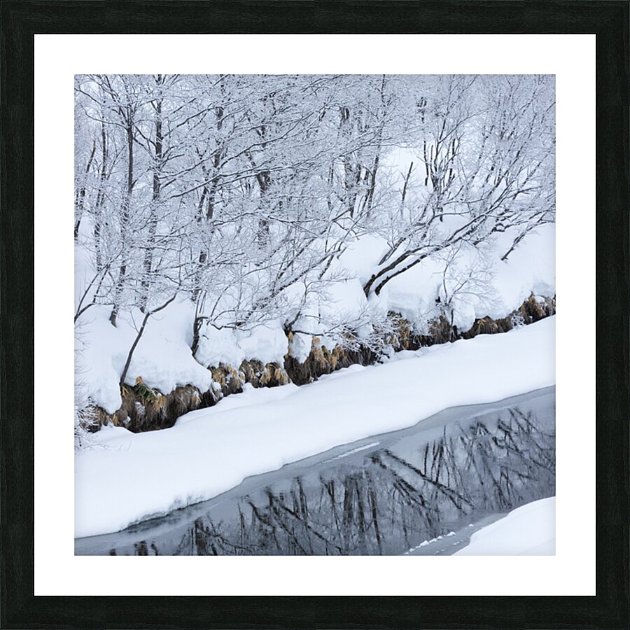 Riverbank Picture Frame print