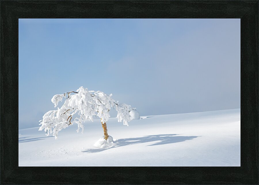 Spotlight Picture Frame print