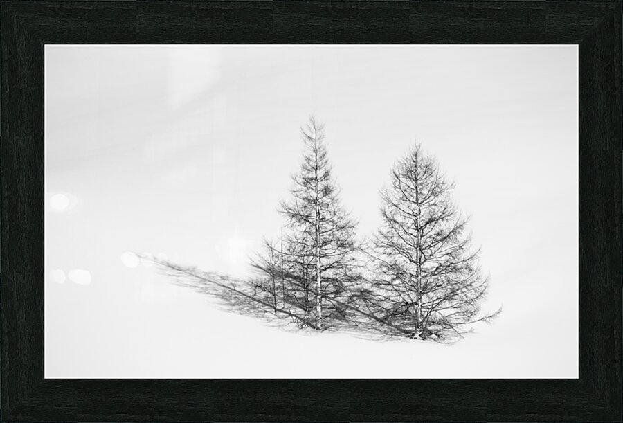 Due Alberi Picture Frame print
