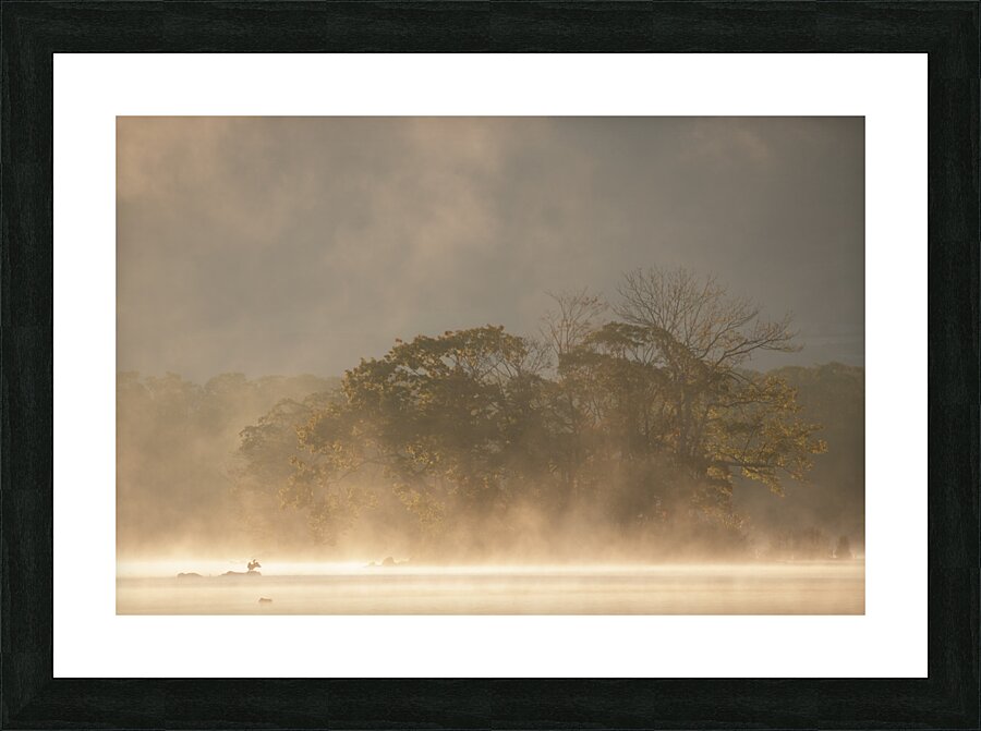 Reverence Picture Frame print