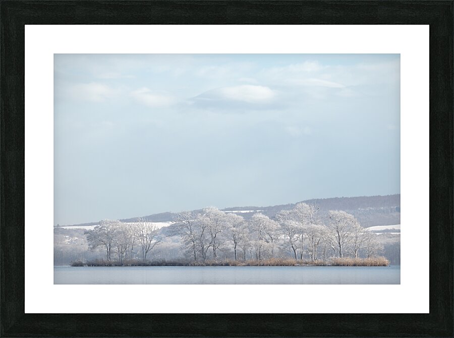 Ukejima Picture Frame print