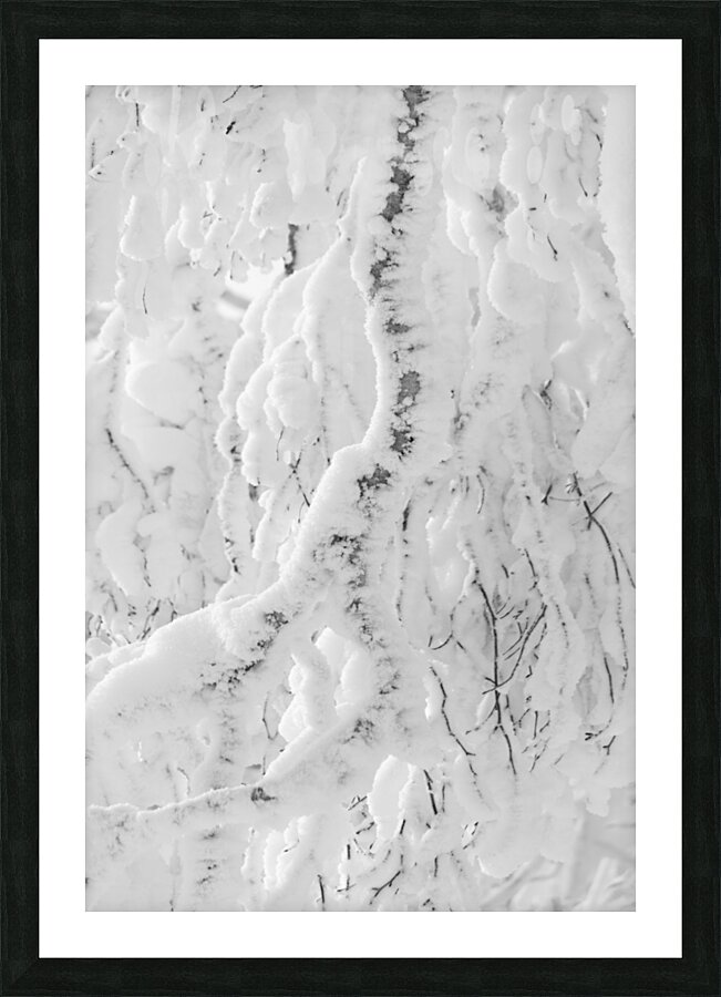 Banished Picture Frame print