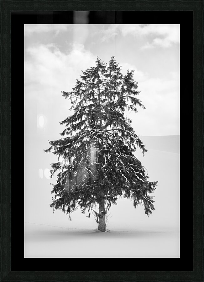Yezo Picture Frame print
