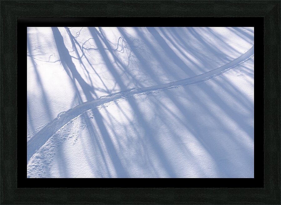 First Tracks Picture Frame print