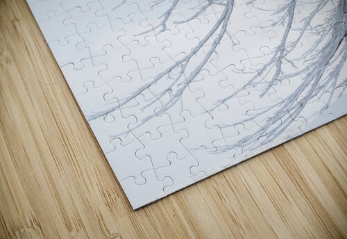 Last Christmas Alex Fukuda puzzle