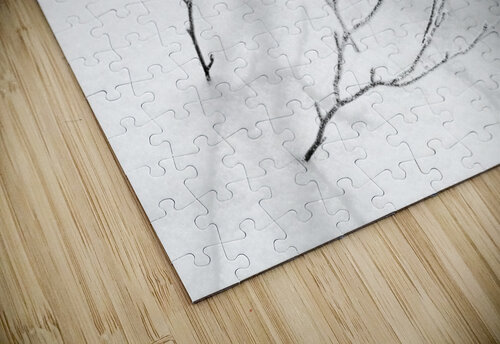 Fragility Alex Fukuda puzzle