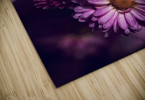 Dark Pink Alex Fukuda puzzle