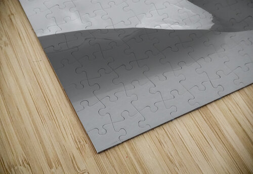 Snowdrift Alex Fukuda puzzle