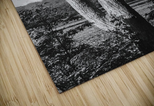 Twisted Alex Fukuda puzzle