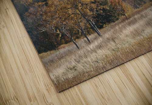 HIghland Wilderness Alex Fukuda puzzle
