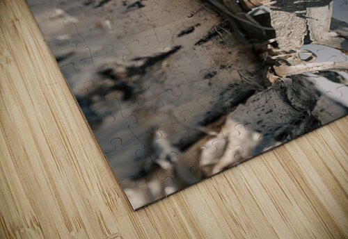 Birch Bark Alex Fukuda puzzle