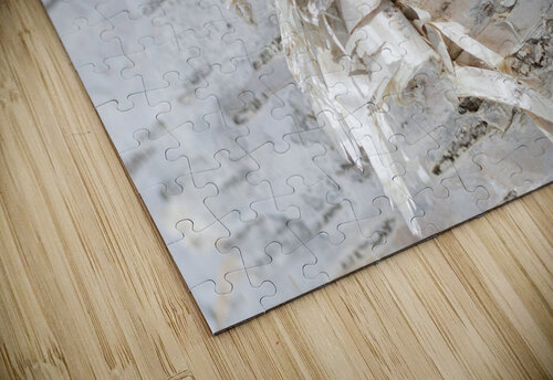 Birch Bark II Alex Fukuda puzzle
