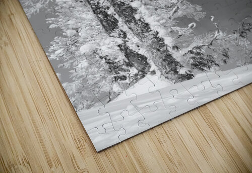 The Old Tree Alex Fukuda puzzle