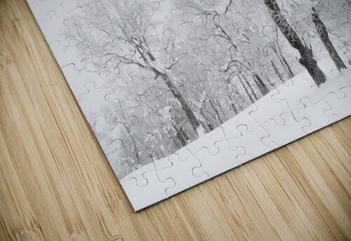 Midwinter Nayoro Alex Fukuda puzzle