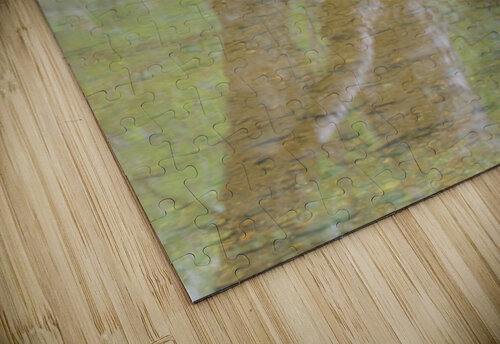 The River Alex Fukuda puzzle