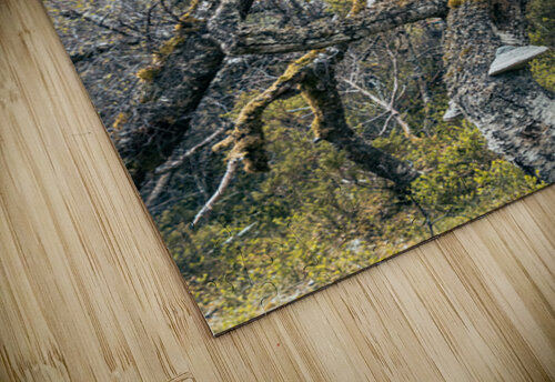Gnarled and Twisted Alex Fukuda puzzle