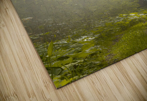 Morning Glory Alex Fukuda puzzle