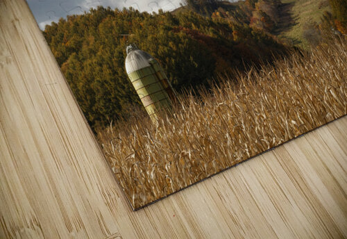 Silo Alex Fukuda puzzle