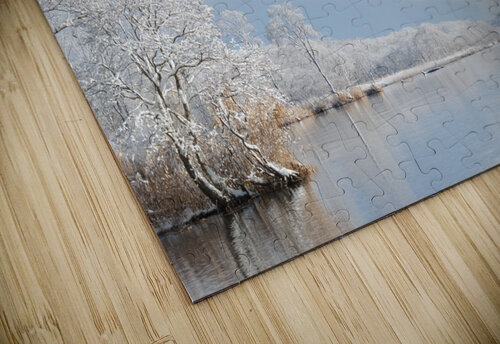 Winter Alex Fukuda puzzle